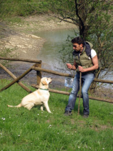Allevamento MyLabrador Retreiver Allevamento MyLabrador Retreiver