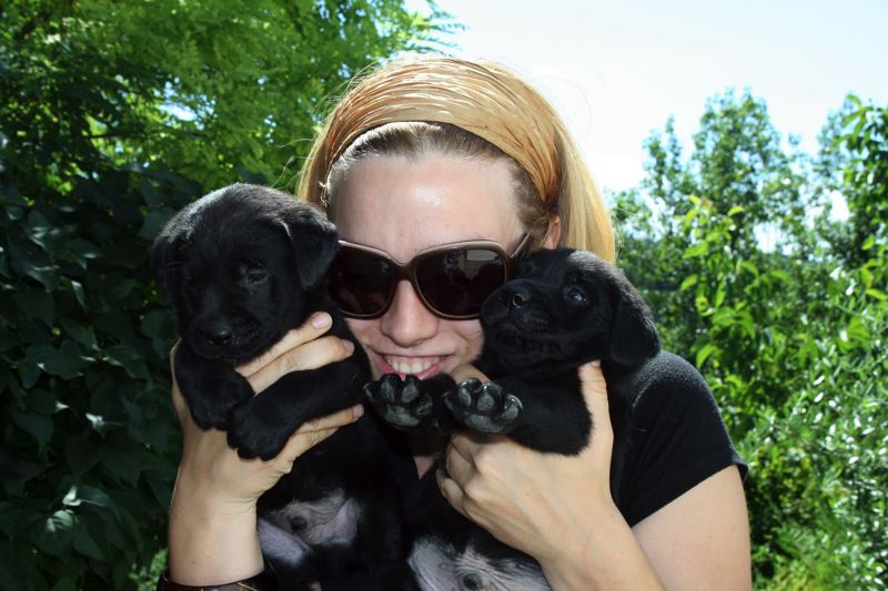 Cuccioli neri MyLabrador