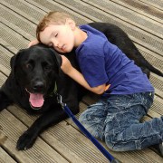 Labrador e bambino: a cosa stare attenti