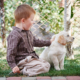 Pet therapy: un Labrador ti può aiutare