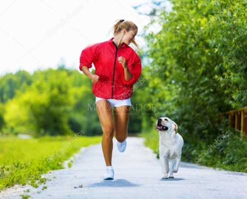 Jogging con il tuo labrador