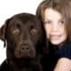 educazione cane bambini