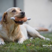 BARCELONA SWEET GIRL