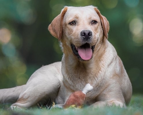 Barcelona Sweet Girl