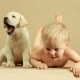 La corretta convivenza tra cane e bambino