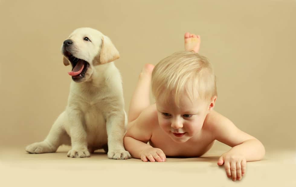 La corretta convivenza tra cane e bambino