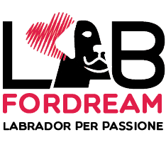 LabForDream