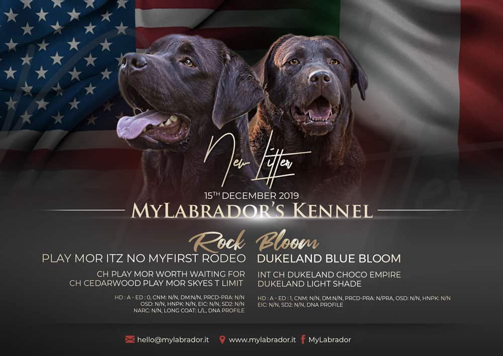 Play Mor Itz No My First Rodeo x Dukeland Blue Bloom