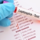 Leptospirosi nel Labrador: cause, sintomi e cure