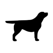 Labrador Nero