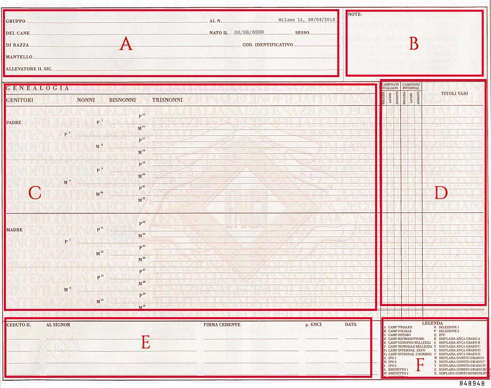 pedigree enci interno