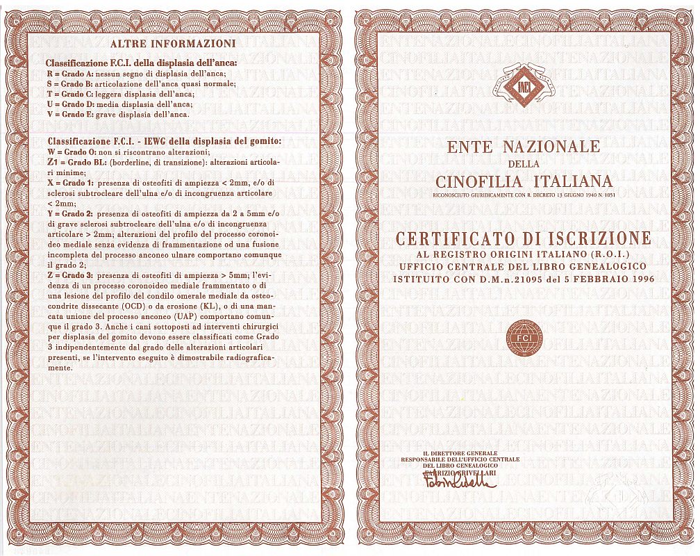 pedigree ENCI esterno