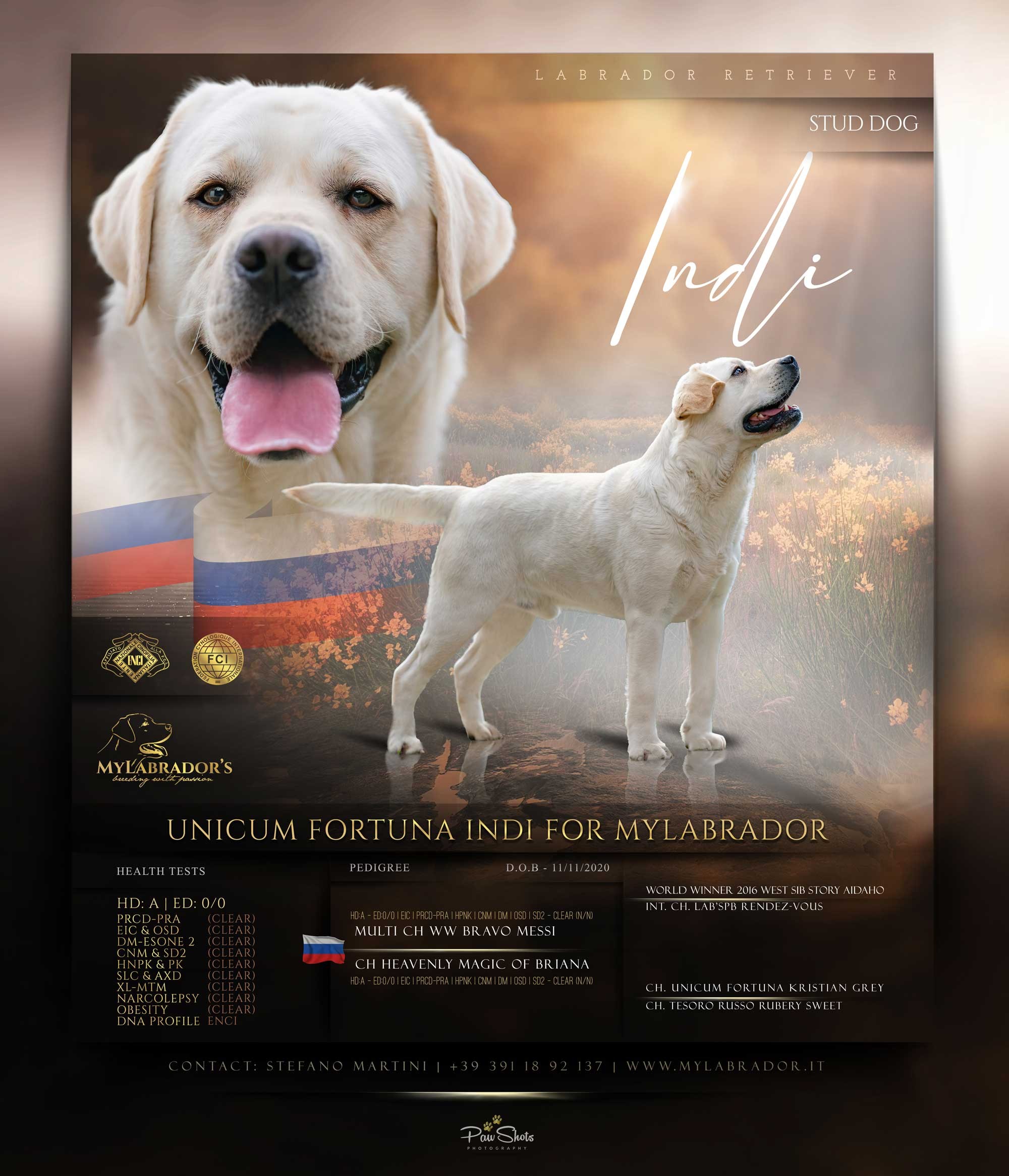 Unicum Fortuna Indi for MyLabrador