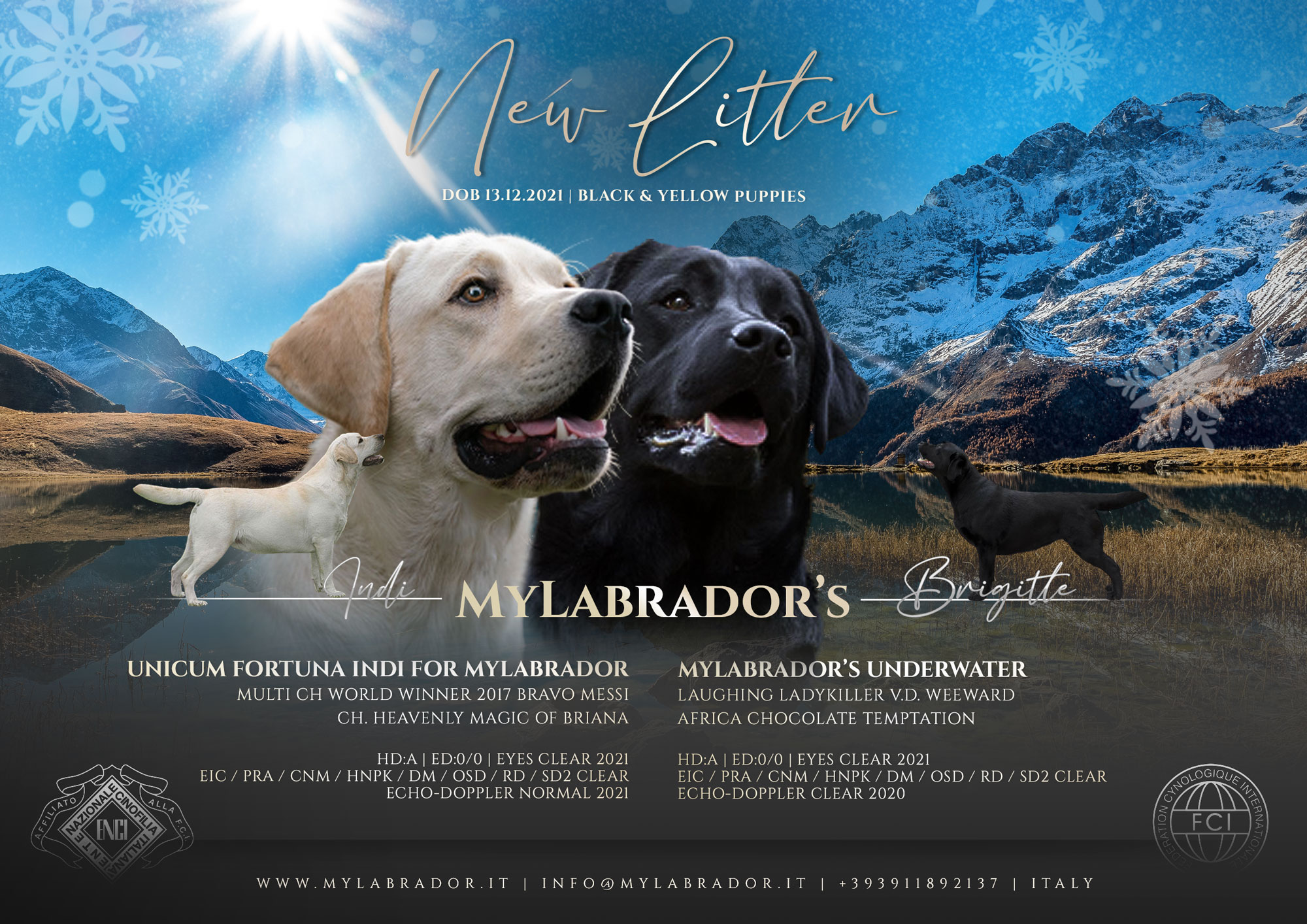 Unicum Fortuna Indi x MyLabrador’s Underwater