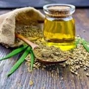 Benefici dell'olio di canapa e CBD nel cane