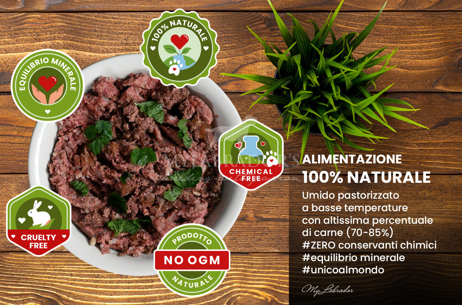 Cibo umido e pressato a freddo: alimentazione 100% naturale