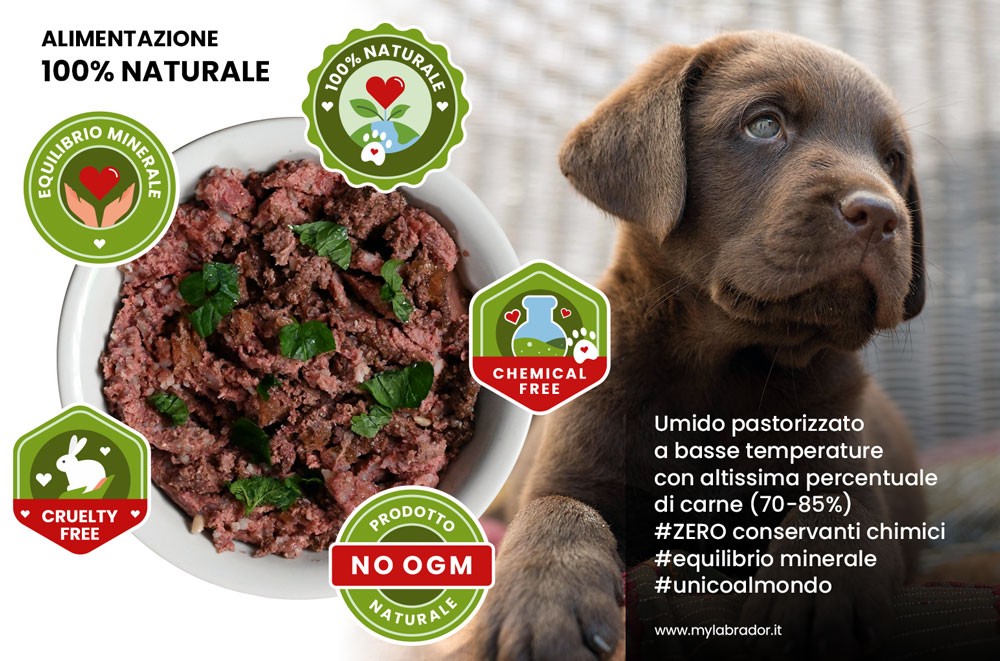 Cibo umido e pressato a freddo: alimentazione 100% naturale