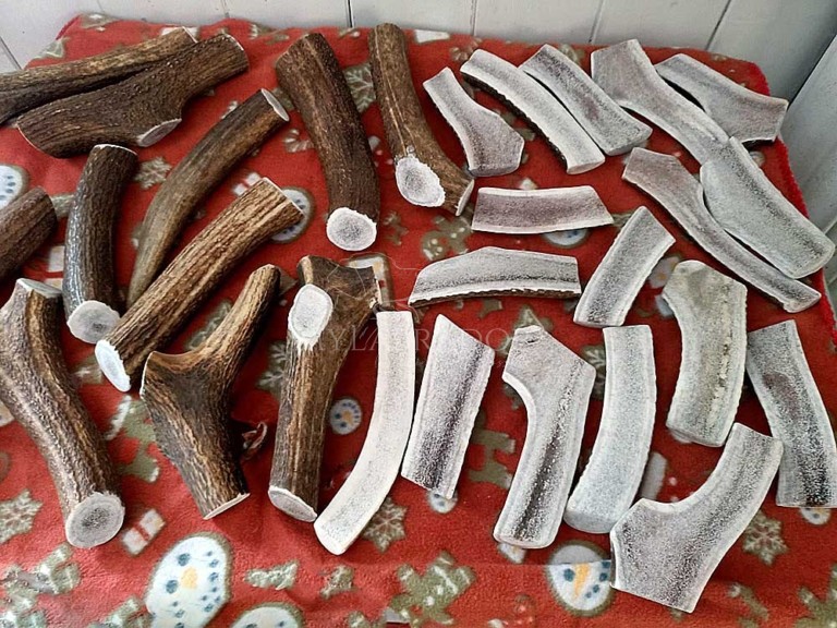 Corno Di Cervo Naturale Per Cani - Osso Da Masticare Sano E Durevole Per Tutte Le Taglie - Foto 7