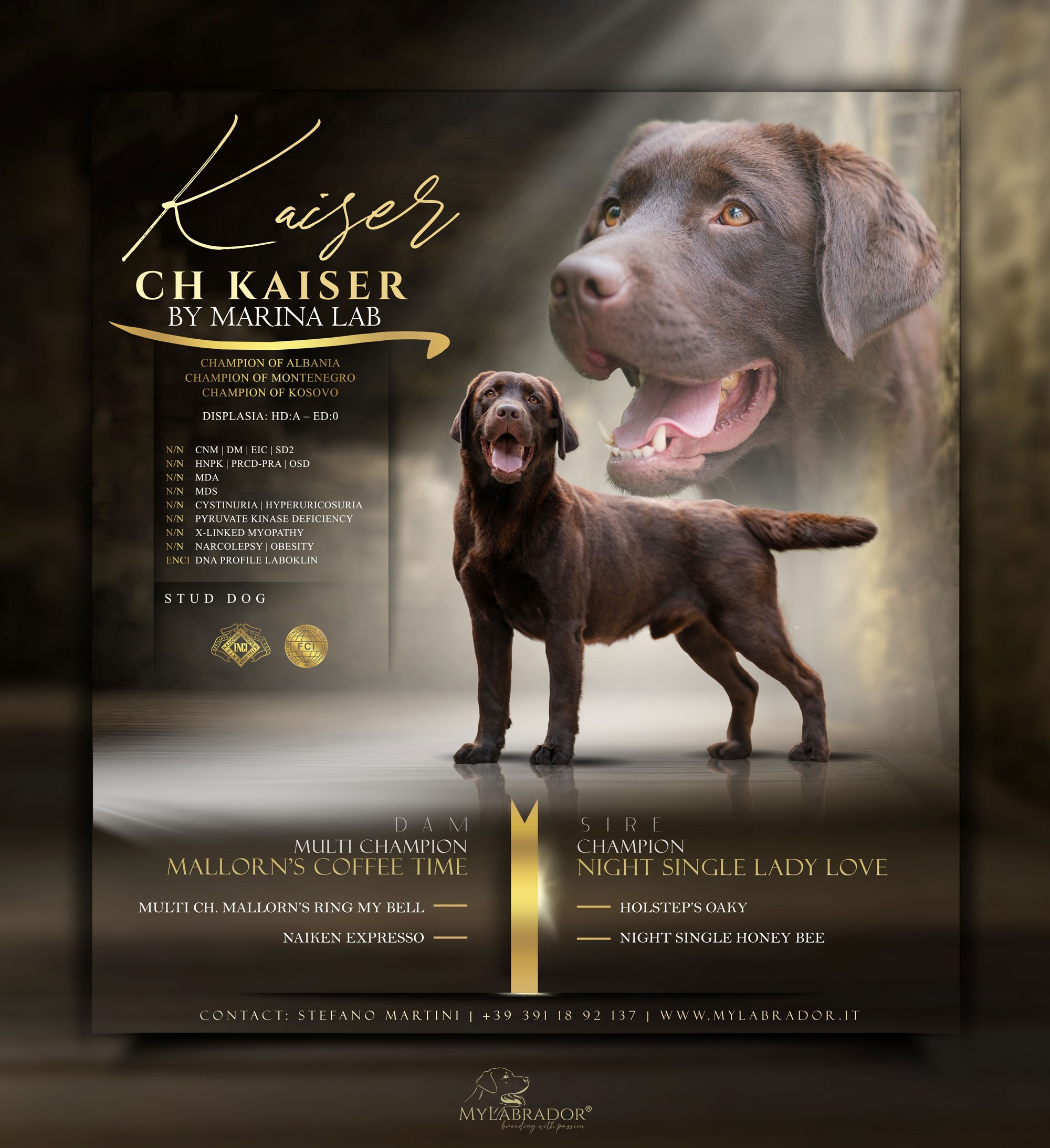CH. KAISER BY MARINA LAB