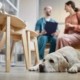 Mielopatia degenerativa nel Labrador Retriever