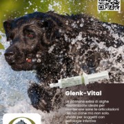 Glenk- Vital Reico: integratore alimentare per il benessere del sistema immunitario, infezioni e post interventi chirurgici.