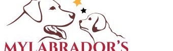 Allevamento MyLabrador