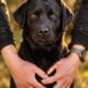 MyLabrador’s Ladies Night
