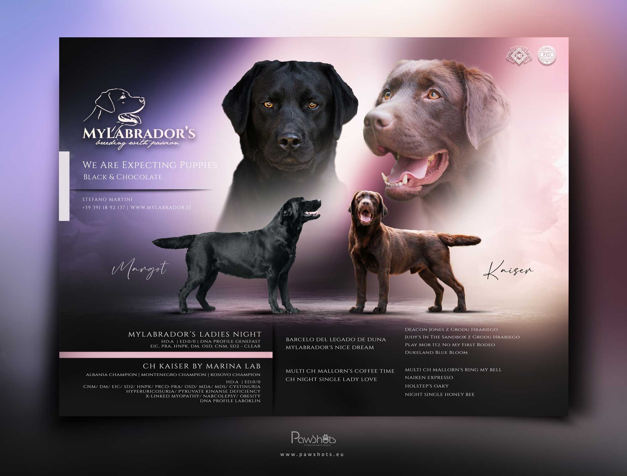 Cucciolata MyLabrador KAISER x MARGOT