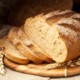 pane al cane