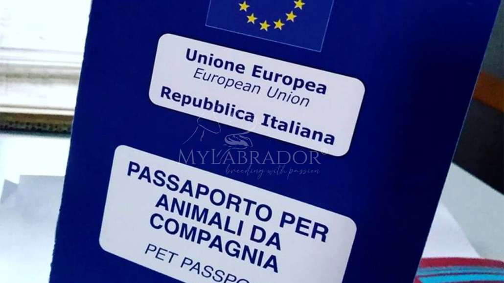 Passaporto europeo per cani: cos'è, come funziona e come richiederlo