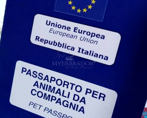 Passaporto europeo per cani: cos'è, come funziona e come richiederlo
