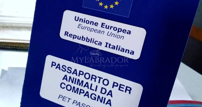 Passaporto europeo per cani: cos'è, come funziona e come richiederlo