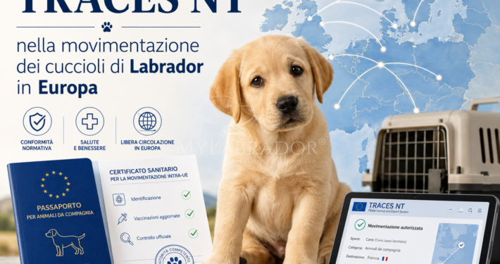 TRACES NT e movimentazione dei cuccioli: guida completa alla normativa 2026