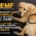PEMF per cani: cos'è il campo elettromagnetico pulsato e cosa dice la ricerca