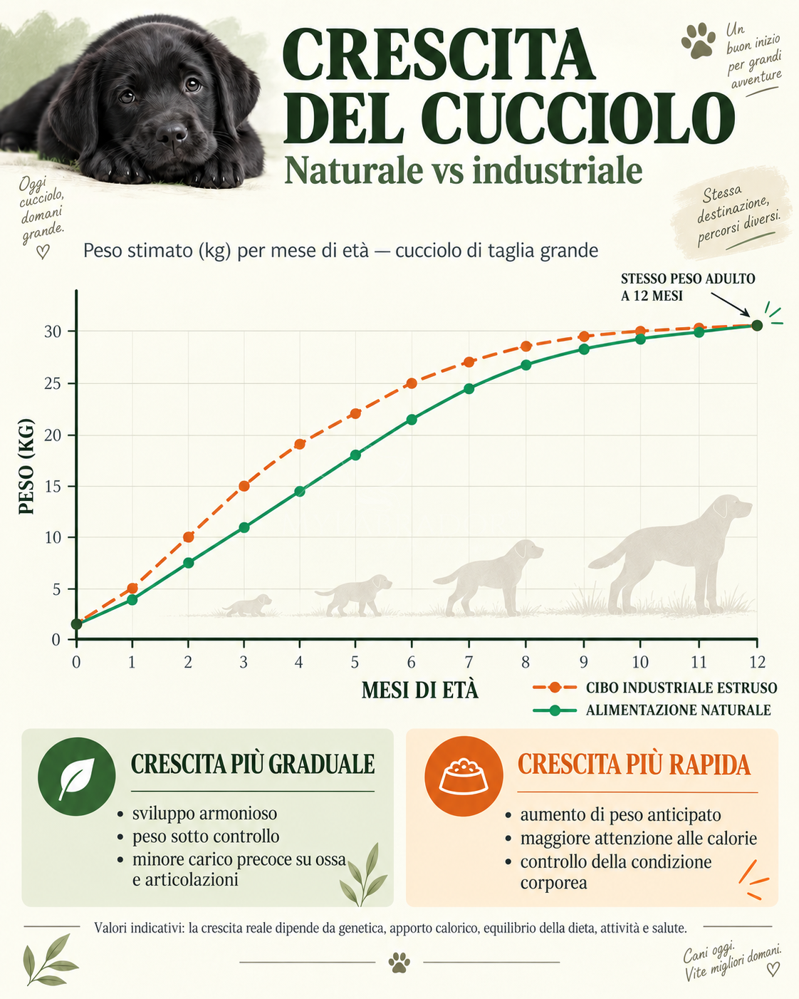 tabella crescita cucciolo naturale